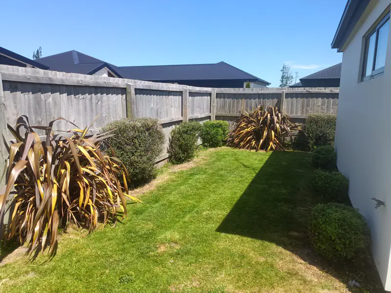 A side garden with flax cleared and the lawn mowed after a clean-up in Christchurch