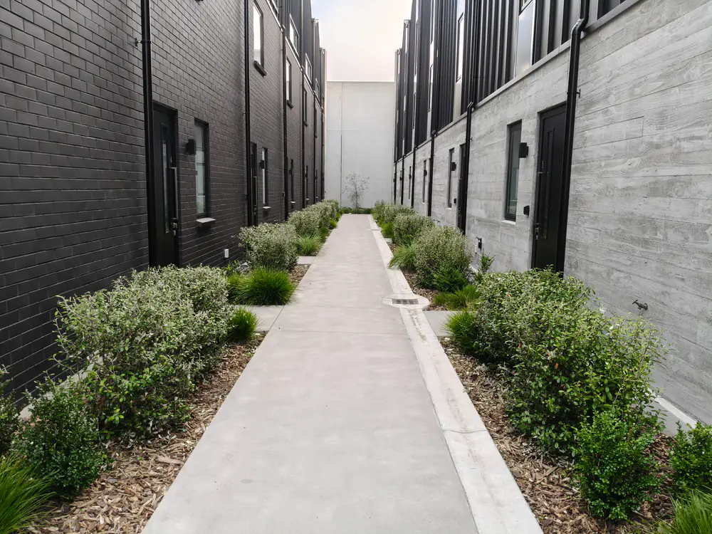 A tidy shared pathway garden between townhouses, Christchurch