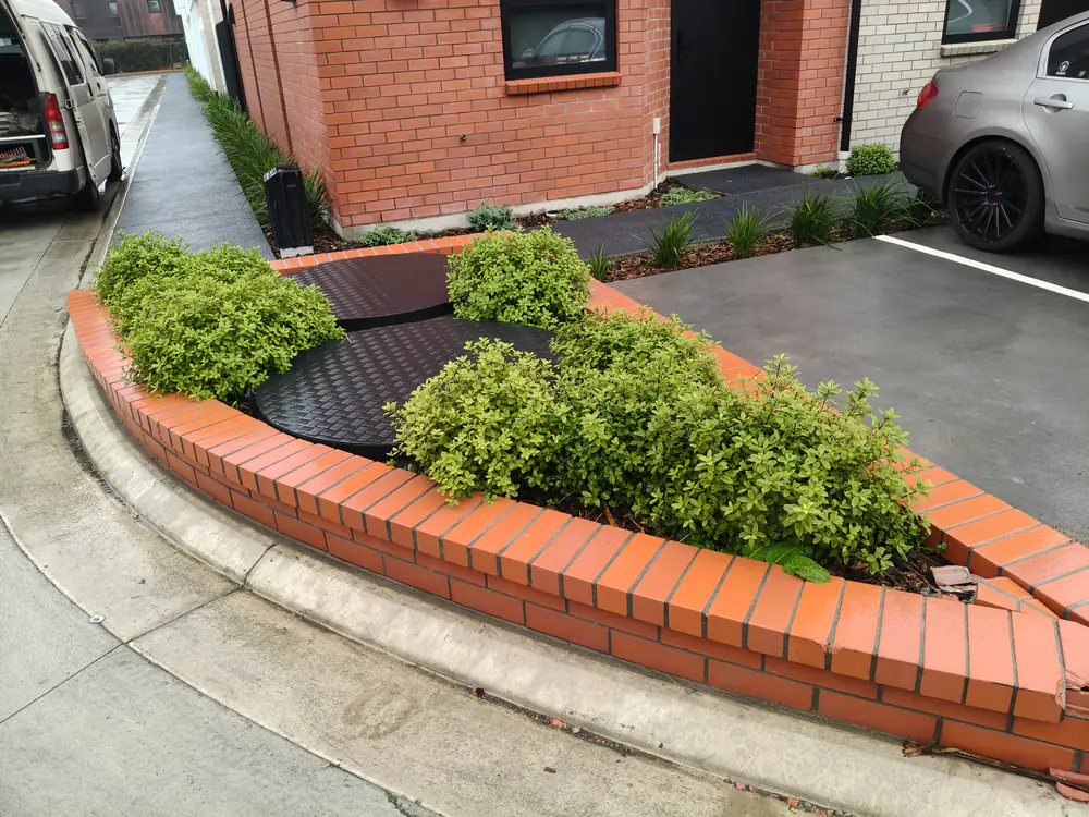 Box balls trimmed in a curved brick planter outside a townhouse in Christchurch