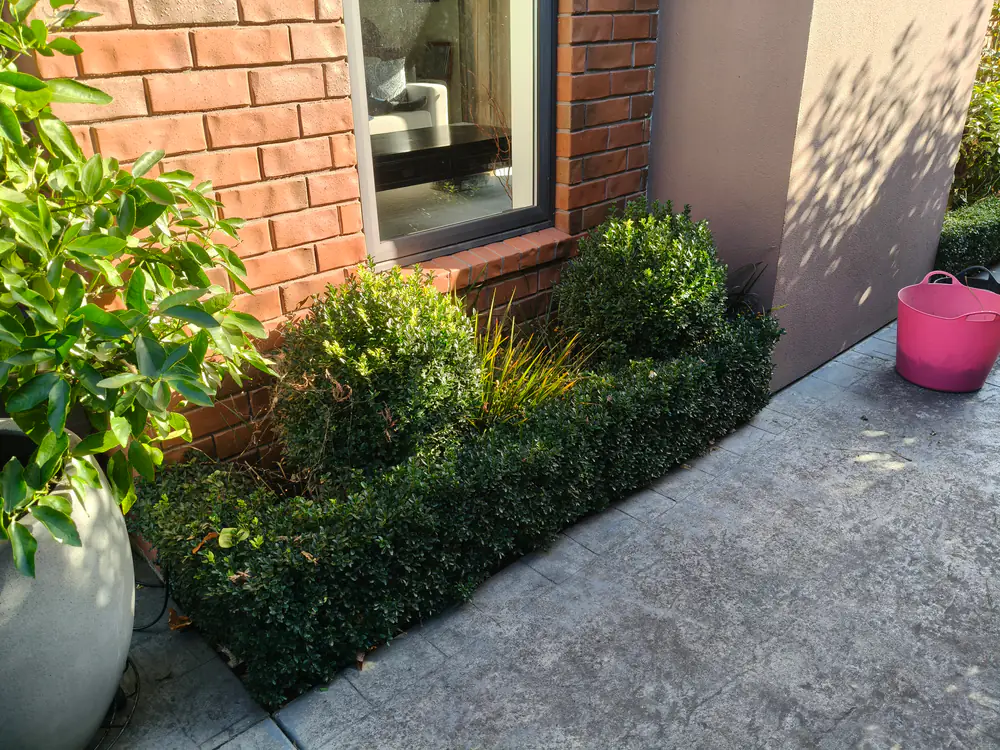Shrubs shaped and a garden bed tidied beside a brick home, Christchurch