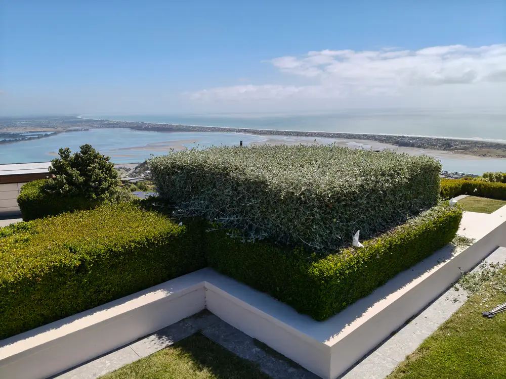 Neatly clipped hedges on a hillside garden with the sea in the background, Christchurch