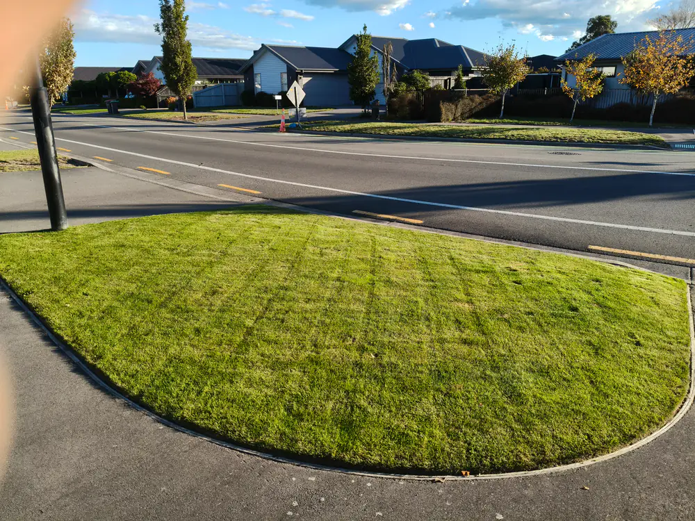 A street berm mowed and edged in front of a Christchurch home