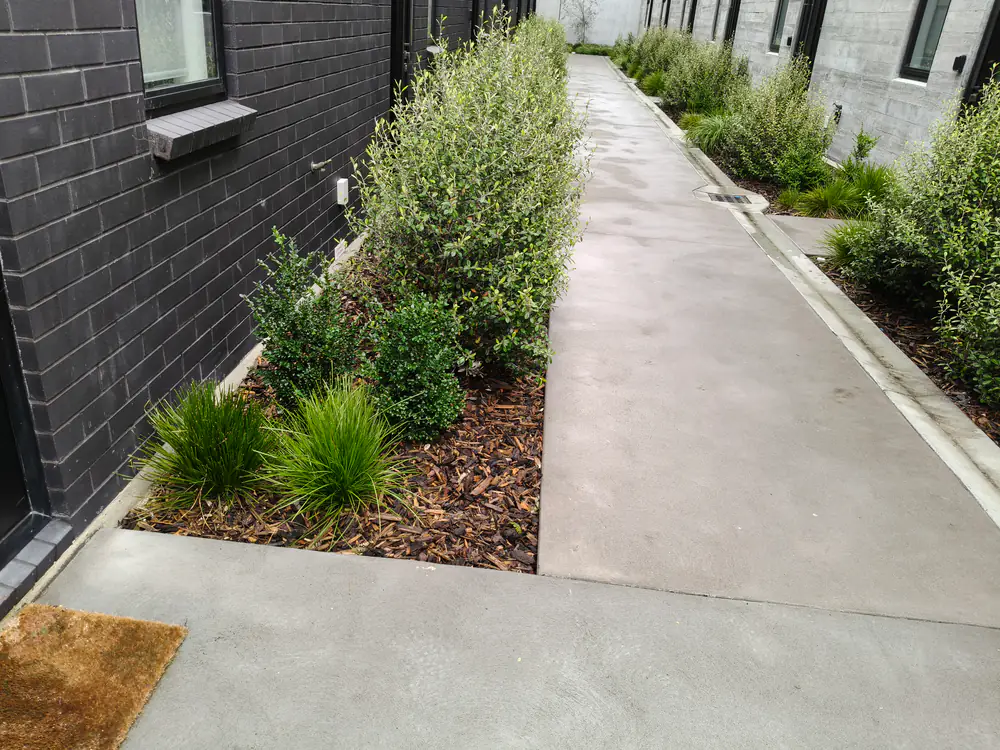 Mulched garden beds along a shared pathway between townhouses, Christchurch